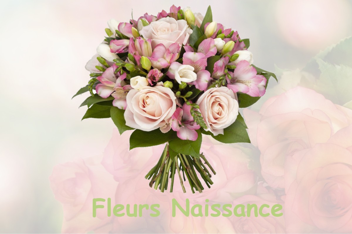 fleurs naissance SAINT-GUILLAUME