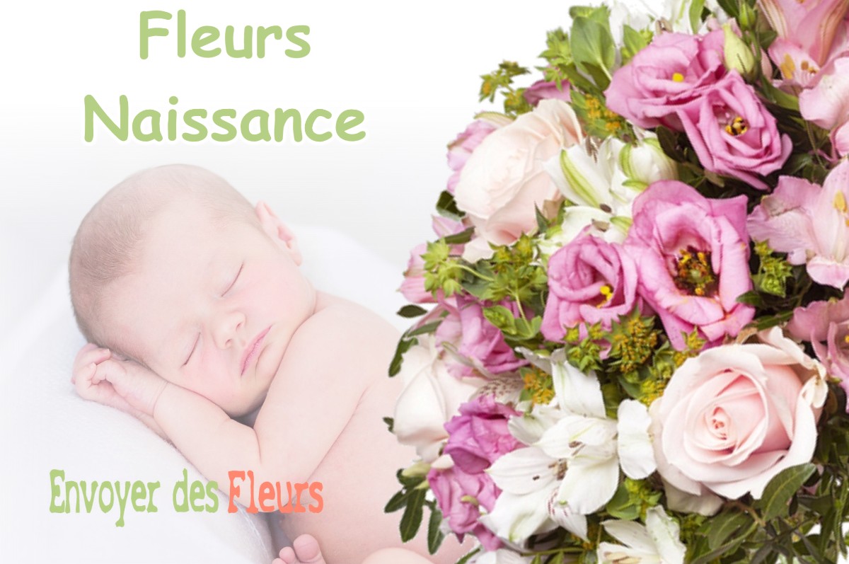 lIVRAISON FLEURS NAISSANCE à SAINT-GUILLAUME